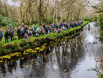 duck derby