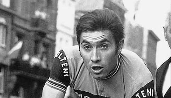 eddy merckx