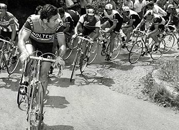eddy merckx