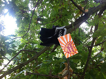 summer of glove