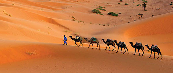 sand dunes