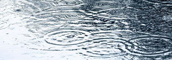 puddles