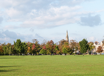 harrogate