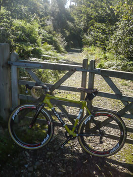 fast forward f6 carbon clinchers