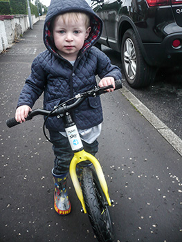 frog bikes tadpole