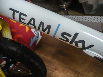 frog bikes tadpole