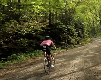 rapha continental