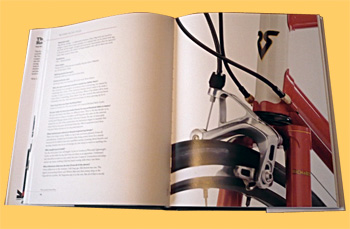 custom road bike