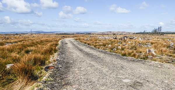 avenvoggie gravel