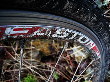 easton circuit wheels