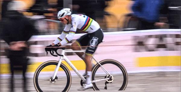 mathieu van der poel