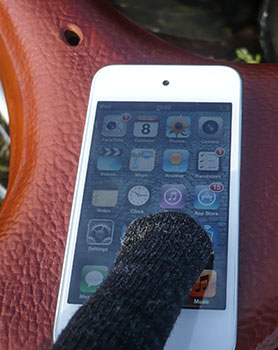 isadore merino gloves