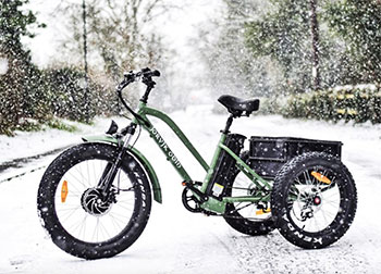 jorvik tricycles