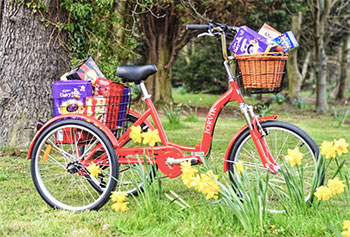 jorvik tricycles