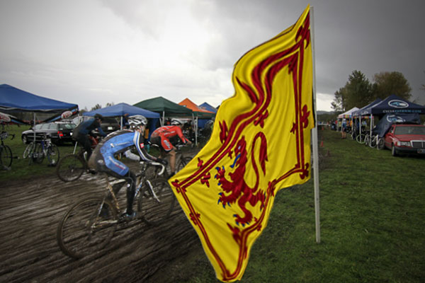 scottish lion rampant