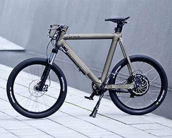e-mountain bike
