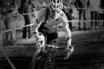 molly cameron