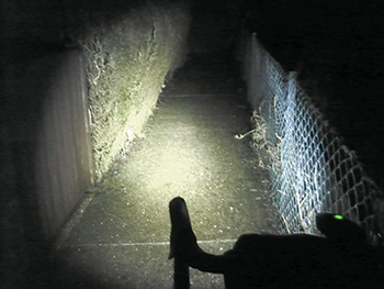 nightrider minewt