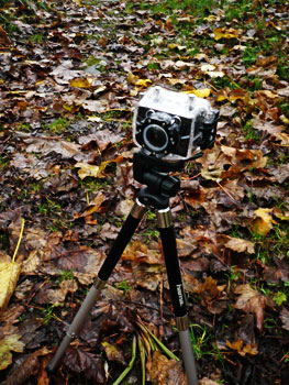 nilox 'foolish' hd camera