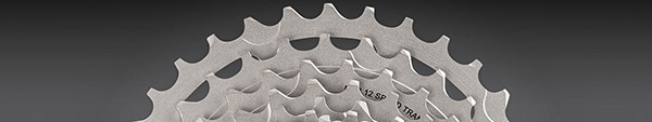 campagnolo 12 speed cassette