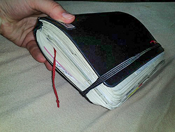 moleskine diary