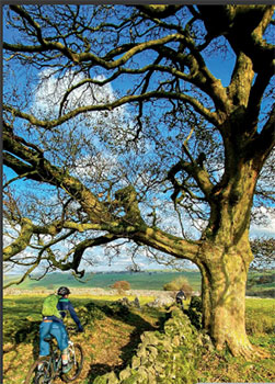 pennine bridleway - hannah collingridge