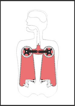 internals