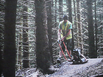 privateer issue seventeen