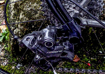 bicycle quickguards