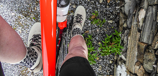 quoc weekend sneakers