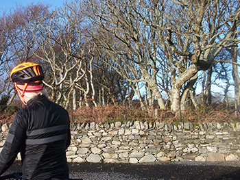 rapha brevet thermal jacket