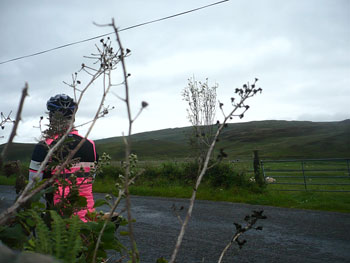 rapha brevet jersey