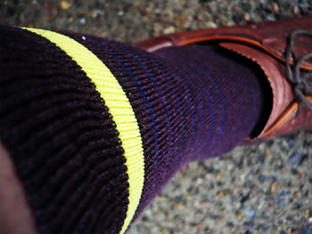 rapha city socks fig