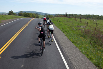 rapha continental