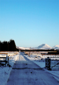 snow