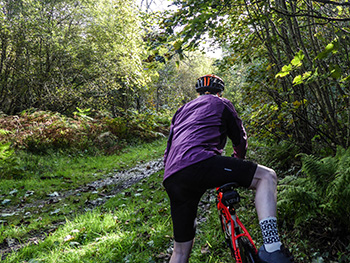 rapha goretex infinium trailwear jacket