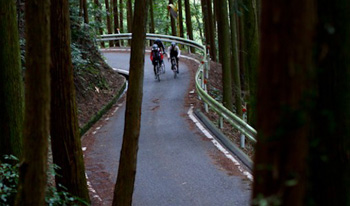 yonretto rides