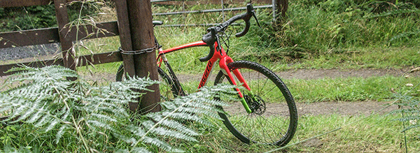 specialized crux