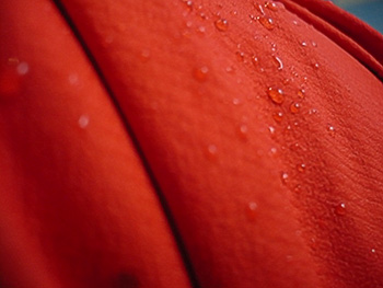 showers pass spring classics jacket