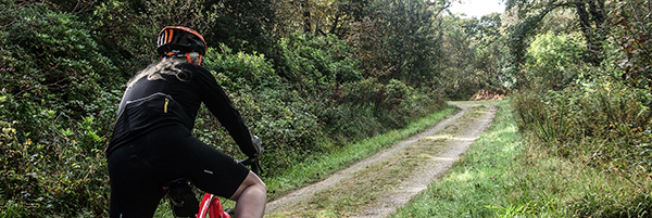 shutt vr vuelta jersey