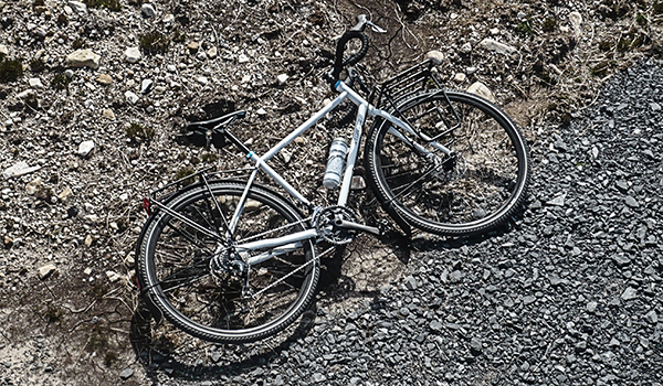 specialized awol elite