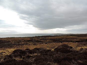 the lost panini of proaig