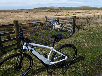 specialized turbo vado