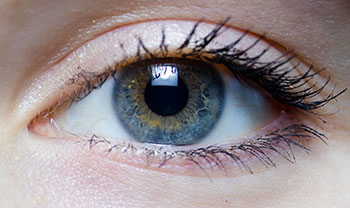 eye