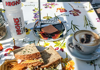 sunwise hastings sunglasses