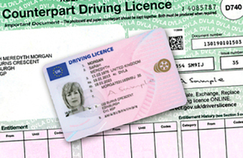 drivers licence