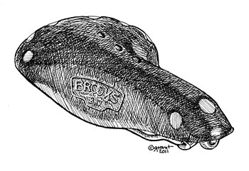 brooks saddle
