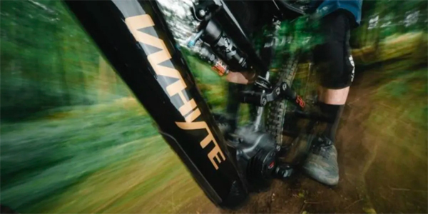 whyte mountain bike