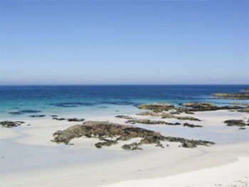 tiree fitness