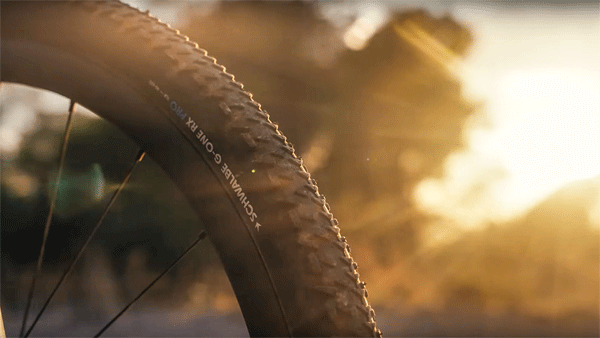 schwalbe g-one rx